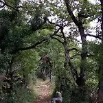 Natura Zome Bed and breakfast Caylus