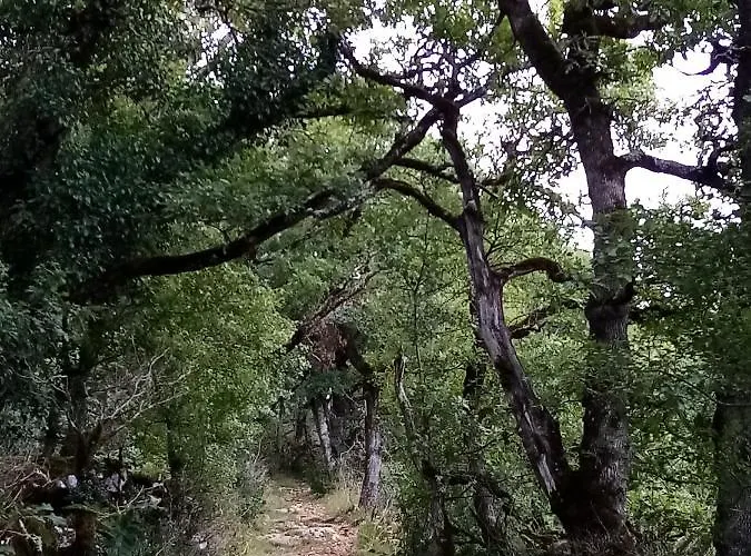 Natura Zome Bed & Breakfast Caylus